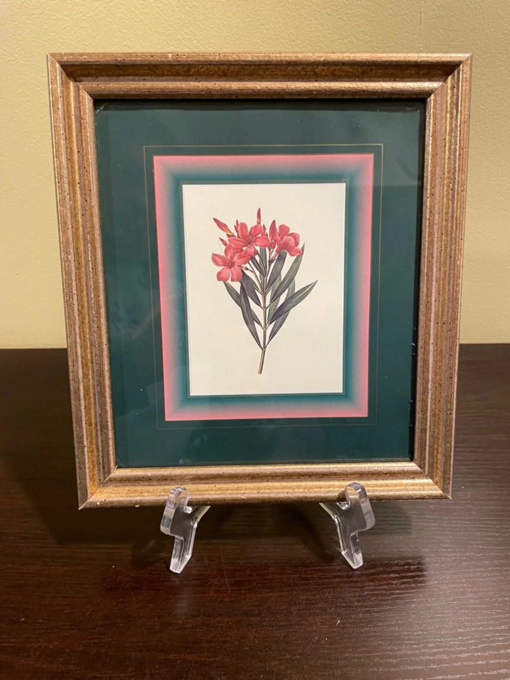 Vintage Botanical Floral Art Print Gold Framed 9”x8”
